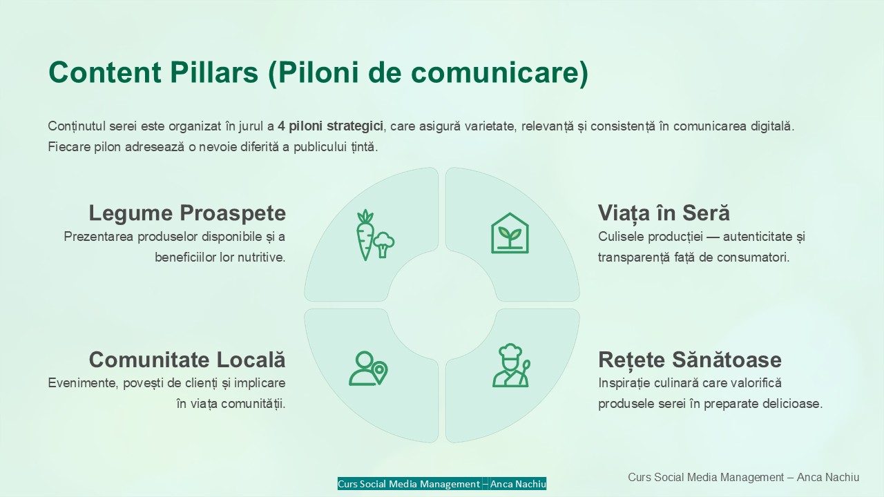Diapozitiv 12